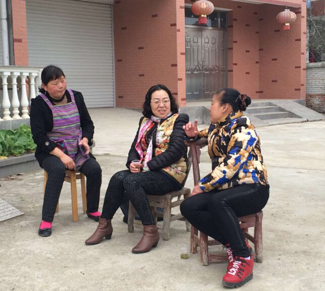 公司专家组一行赴乌云山村调研